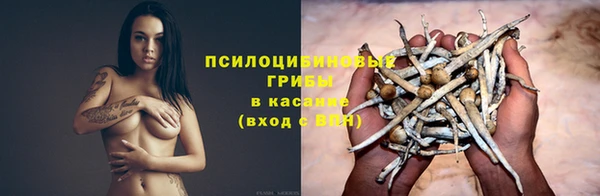 таблы Алзамай
