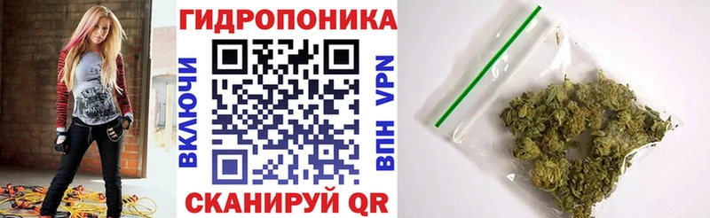 как найти закладки  darknet Telegram  ОМГ ОМГ зеркало  Бошки Шишки VHQ  Алзамай 